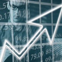 Using your degree: Economics